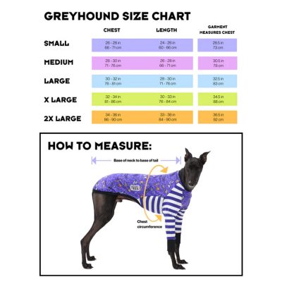 Long Sleeve Skivvy Hound-Tee – LIMITED EDITION*