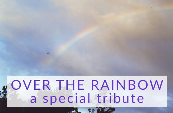 Over the rainbow - a special tribute