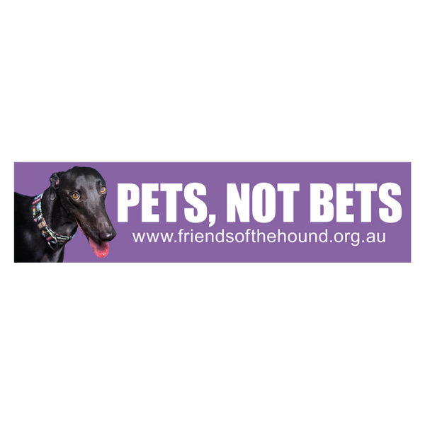 Sticker - Pets not bets