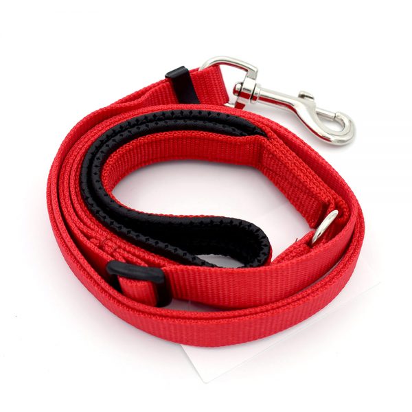 Red Dog Lead