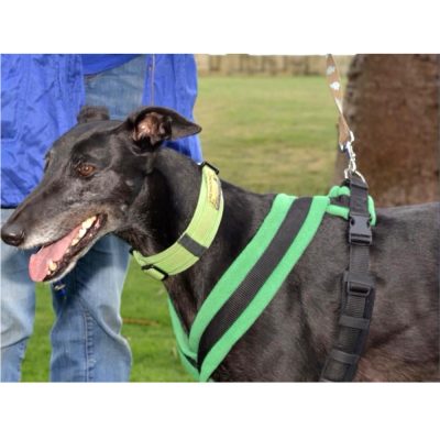Greyhound Harness – multiple colours – size 5