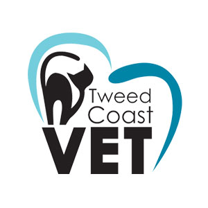 Tweed Coast Vet
