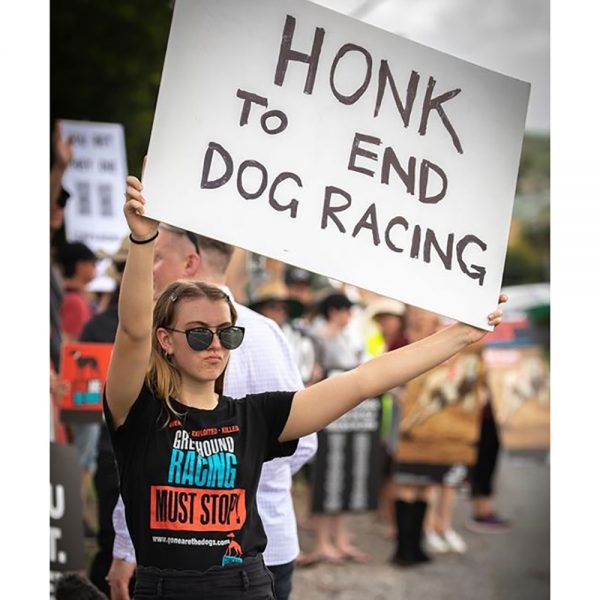 Greyhound racing must stop tshirt