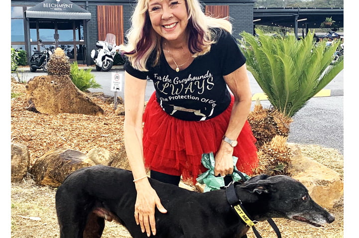 Motorcycle ride for Greyhounds